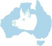 Australian Pig Breeders Association Limited