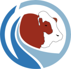 Traditional Simmental Fleckvieh Society of Australia